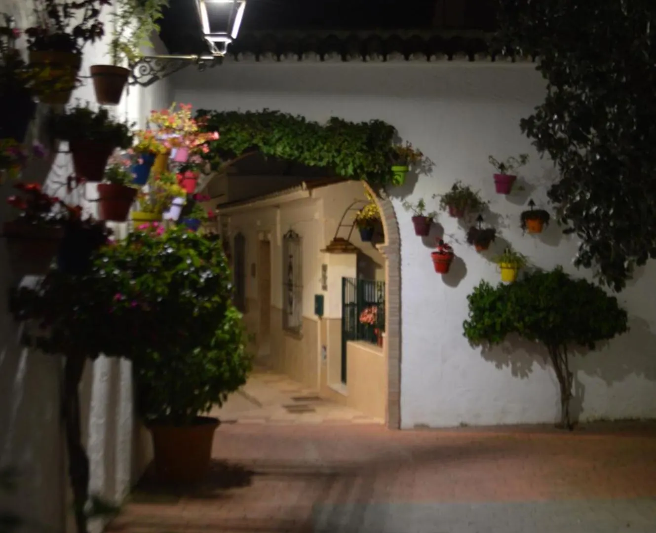 Mare By La Pita - Central Premium Apartment With Terrace Estepona 0*,  Spain